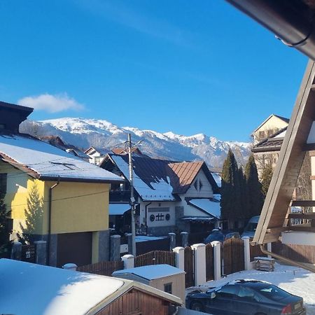 Vila Panselutelor 6 Sinaia Bagian luar foto