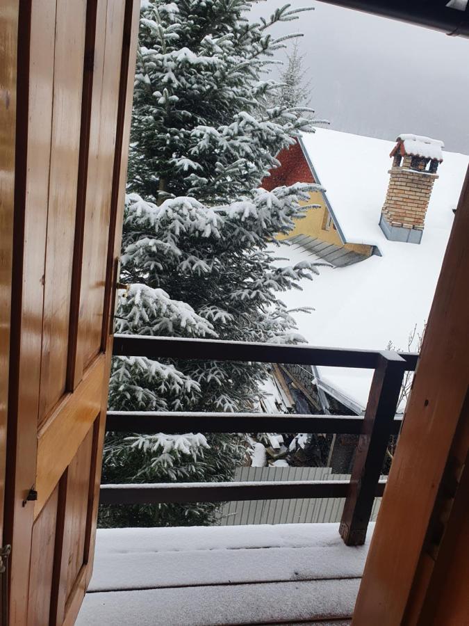 Vila Panselutelor 6 Sinaia Bagian luar foto