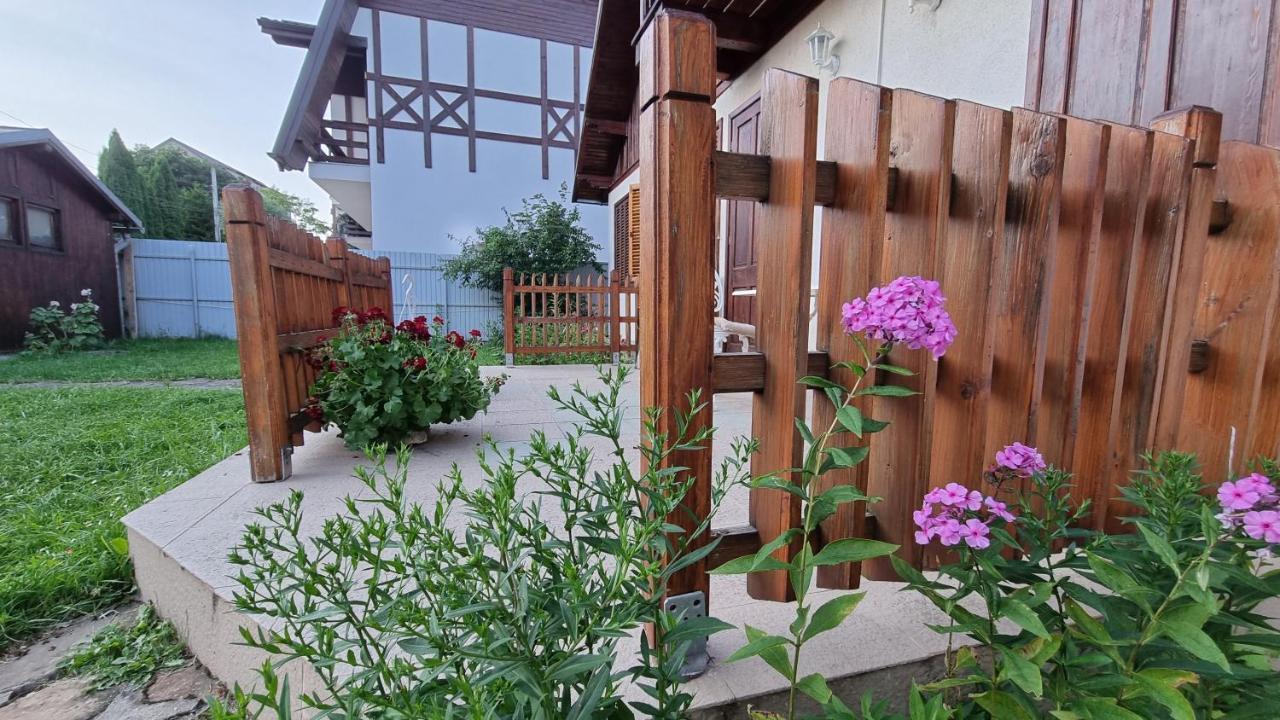 Vila Panselutelor 6 Sinaia Bagian luar foto