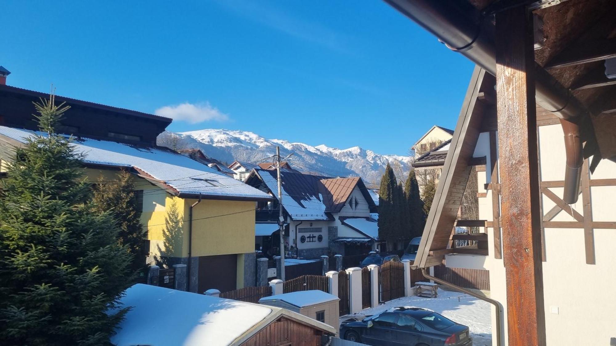 Vila Panselutelor 6 Sinaia Bagian luar foto
